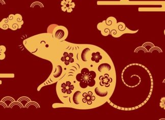 The Golden Four: Generations of Wealth Uncovered for Lunar New Year 2024