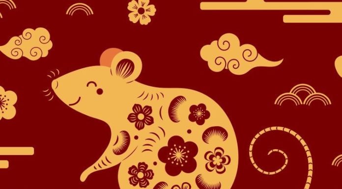 The Golden Four: Generations of Wealth Uncovered for Lunar New Year 2024