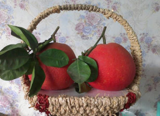 Red Pomelo Fever During Tet Celebrations