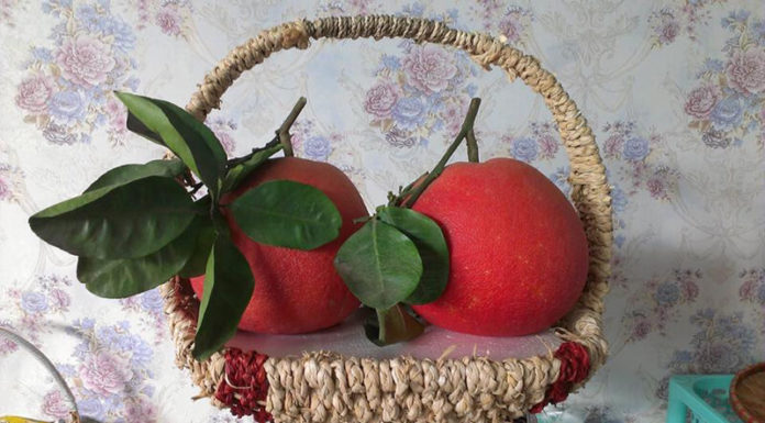 Red Pomelo Fever During Tet Celebrations