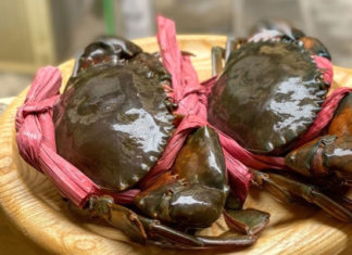 How to differentiate between male and female crabs?