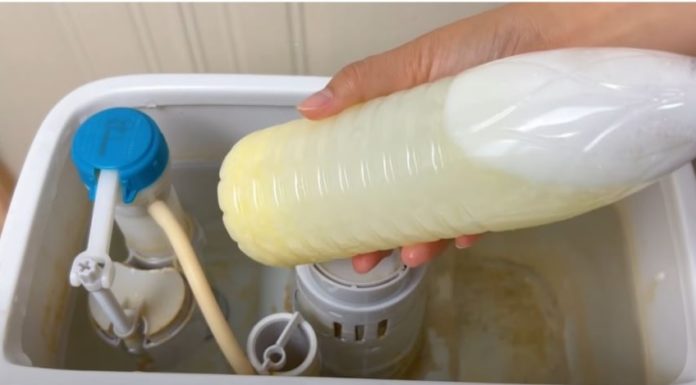 Placing plastic bottle in toilet tank has a special effect, helping save a lot of money