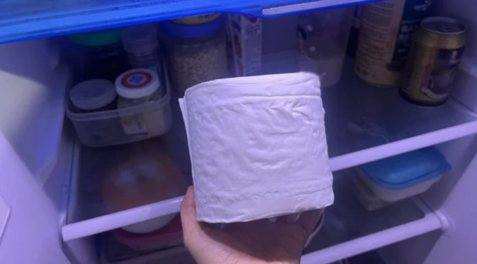 The Incredible Benefits of Putting a Roll of Toilet Paper in the Refrigerator Overnight