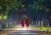 Walking and Meditation for True Peace of Mind, Free from Stress and Negativity
