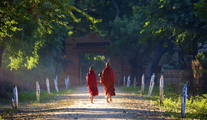 Walking and Meditation for True Peace of Mind, Free from Stress and Negativity