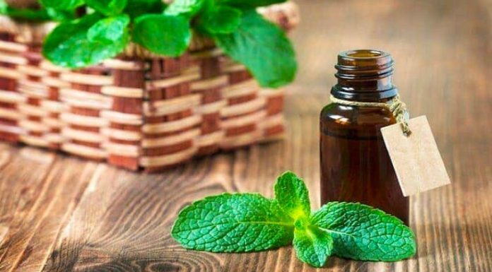 Discover 8 Natural and Safe Essential Oils That Stimulate Hair Growth