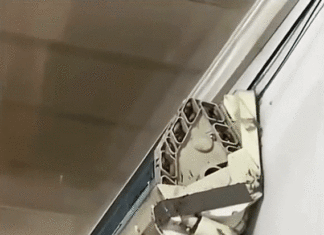 Unusual phenomenon startles homeowner: “I have never seen this before”