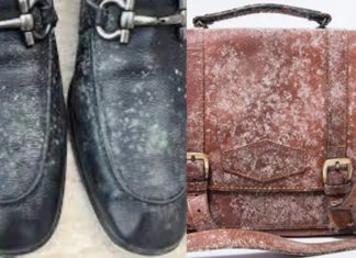 How to remove mold from leather shoes and clothes in your house for free