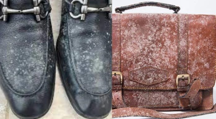 How to remove mold from leather shoes and clothes in your house for free