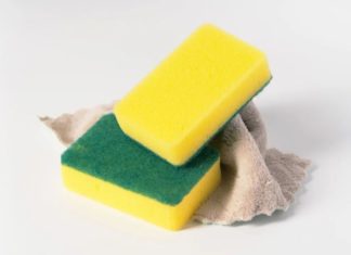 7 Everyday Items Infested with Harmful Bacteria