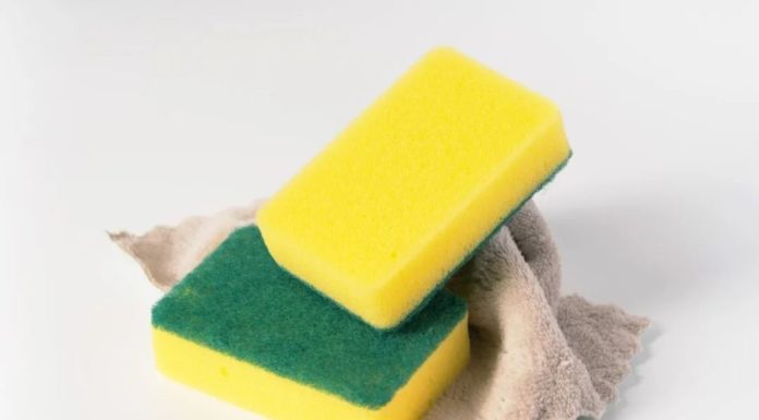 7 Everyday Items Infested with Harmful Bacteria