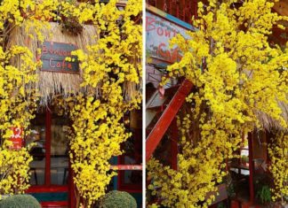 “Infiltrating” Thao Dien area, “hunting down” the most beautiful café for Tet photography