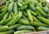 Buy Cucumber: How to Choose Fresh, Crunchy, Bitter-free Ones – Observe These 4 Key Points