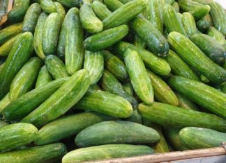 Buy Cucumber: How to Choose Fresh, Crunchy, Bitter-free Ones – Observe These 4 Key Points