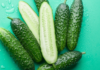 Why do cucumbers taste bitter? Are bitter cucumbers poisonous to eat?