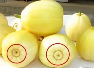 Choosing between big or small watermelon and bitter melon