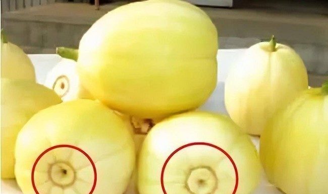 Choosing between big or small watermelon and bitter melon