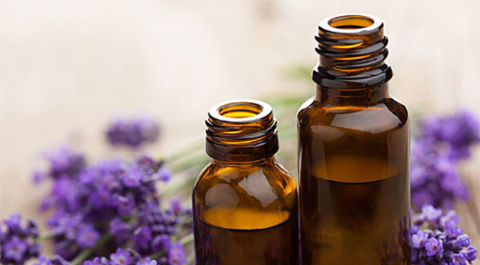 5 Effective Ways to Get Rid of Mosquitoes using 5 Common Household Ingredients