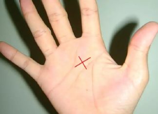 The World’s Top 3% Own the Extraordinary Path of Exceptional Skill: Being Outstanding is Also Being a Skilled Leader