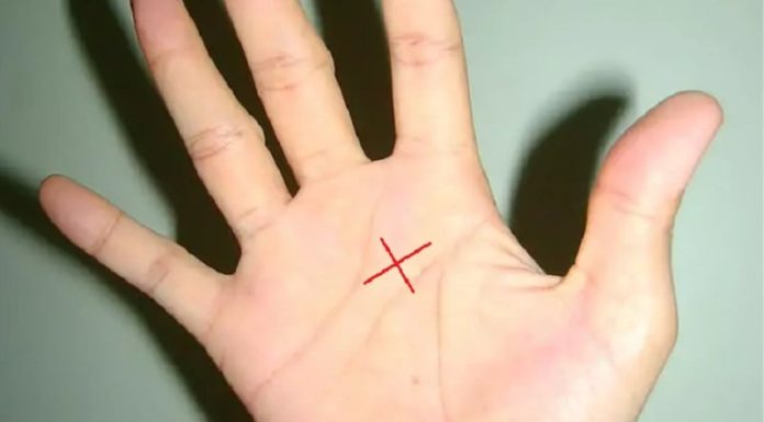 The World’s Top 3% Own the Extraordinary Path of Exceptional Skill: Being Outstanding is Also Being a Skilled Leader