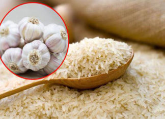 Tips to Store Rice Without Pests or Moisture Using Natural Ingredients