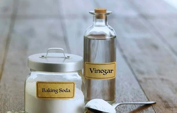 Overnight Solution for Common Household Toilet Problems: Pour Vinegar into the Toilet and Leave it Overnight