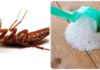 How to get rid of cockroaches in the bathroom with laundry detergent