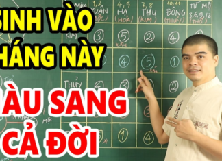 Born in the 3rd lunar month, prosperity follows you throughout your life.