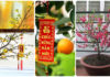 Must-Have Lunar New Year Home Decoration Ideas for Every Family in 2024