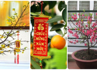 Must-Have Lunar New Year Home Decoration Ideas for Every Family in 2024