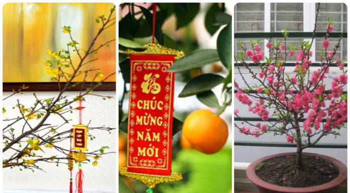 Must-Have Lunar New Year Home Decoration Ideas for Every Family in 2024