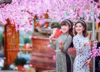 Best New Year greetings for the Year of the Wood Horse 2014