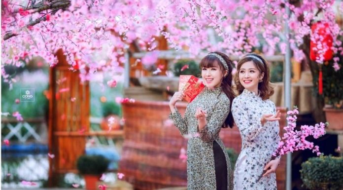 Best New Year greetings for the Year of the Wood Horse 2014