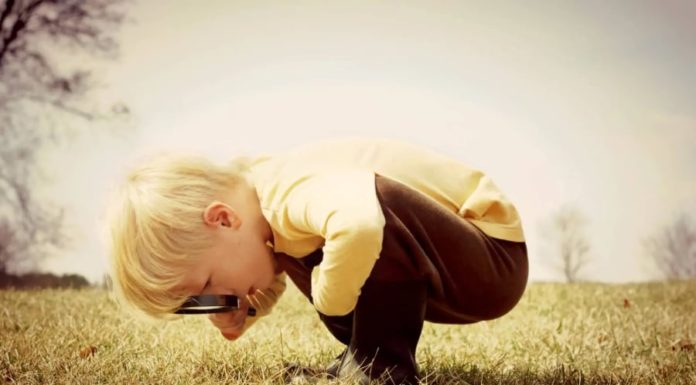 4 Signs That Show Your Child Has Extraordinary “Intellectual Power”