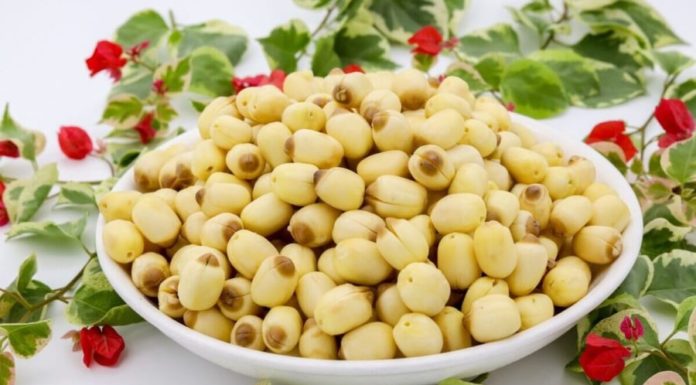 Amazing Health Benefits of Lotus Seeds