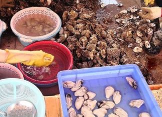 An Extra Ingredient to Ensure Spotless and Clean Oysters While Cleaning