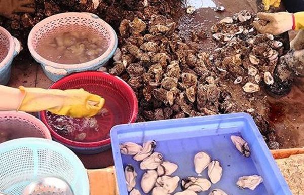 An Extra Ingredient to Ensure Spotless and Clean Oysters While Cleaning