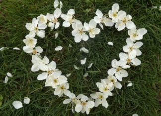 Selecting 99+ cute, 3D, and ultra-clear heart wallpapers for computers and phones.