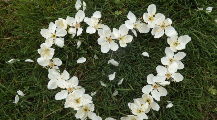 Selecting 99+ cute, 3D, and ultra-clear heart wallpapers for computers and phones.