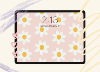 150+ Adorable, Cute, and High-Quality 4K iPad Wallpapers for Your Selection