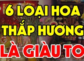 Welcoming Tet 2024: Adorn Your Altar With These 5 Flowers for a Year of Abundance