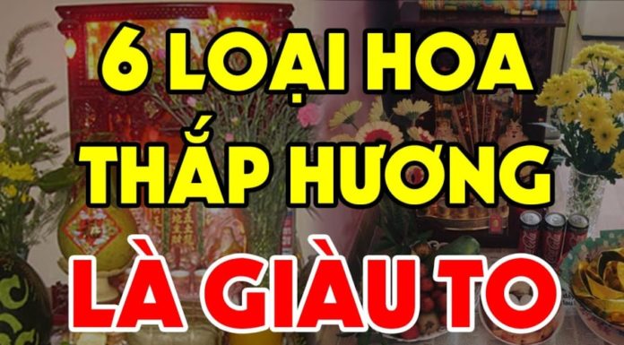 Welcoming Tet 2024: Adorn Your Altar With These 5 Flowers for a Year of Abundance