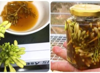 9 Amazing Benefits of Soaking Male Papaya Flowers in Honey: Who Should Eat It?
