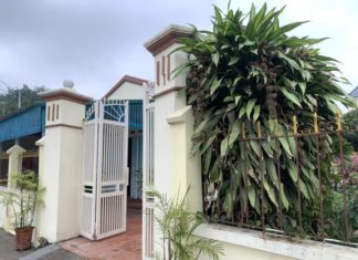 Should I plant Thiết Mộc Lan flowers at the entrance of my house? Tips for blooming and bringing good luck.