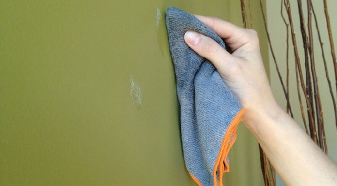 Guide to sticking apricot blossoms on the wall for traditional Tet decoration