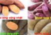 Have fun checking if you have correctly identified the names of the 12 types of potatoes below!
