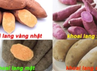 Have fun checking if you have correctly identified the names of the 12 types of potatoes below!