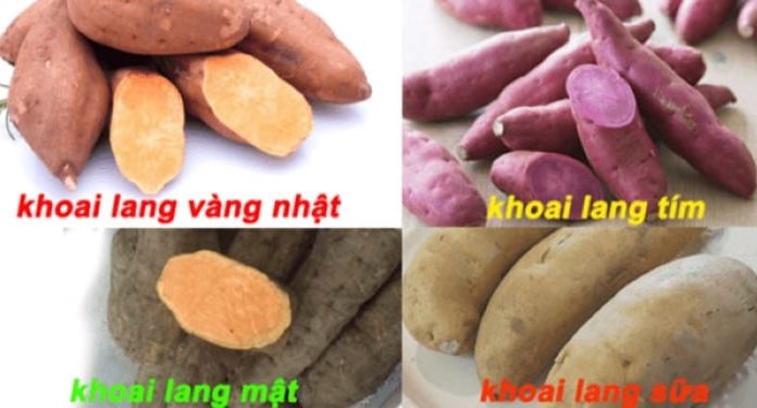 Have fun checking if you have correctly identified the names of the 12 types of potatoes below!
