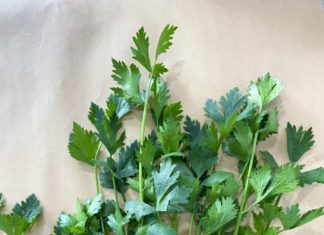 “All-round ‘superstar’ tree species – make a delicious and nutritious cake with its versatile leaves”