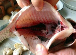 How to Prepare Fish Without Cleaning These 3 Parts